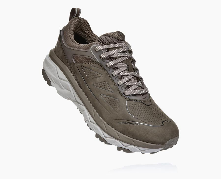 Hoka One One Trail Schoenen Dames - Challenger Laag Gore-Tex - Bruin - QX2678301